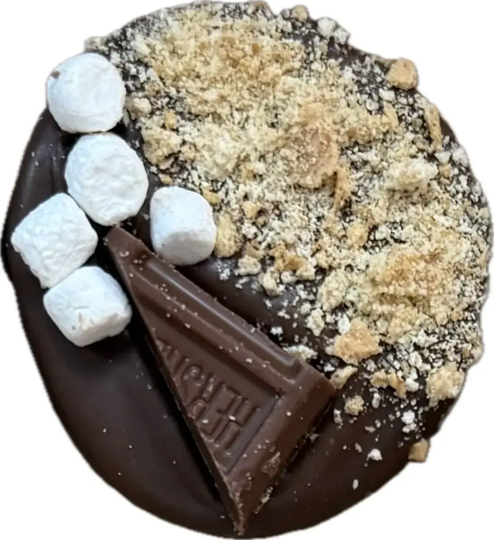 Campfire S’mores cake pop