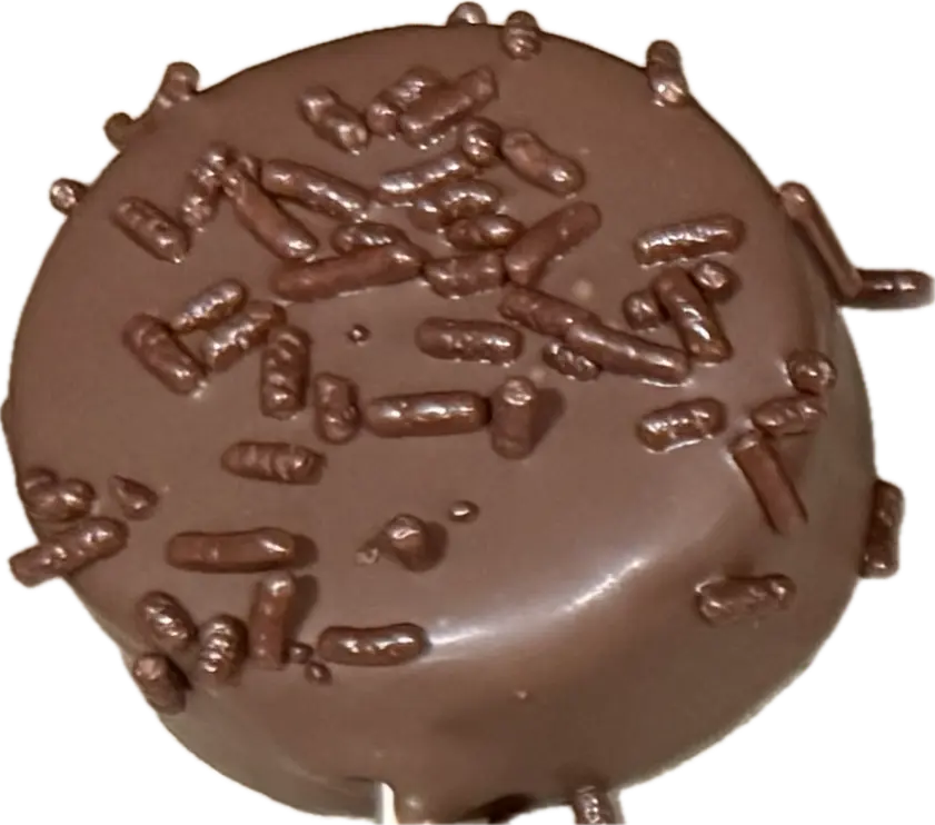 Double Chocolate cake pop